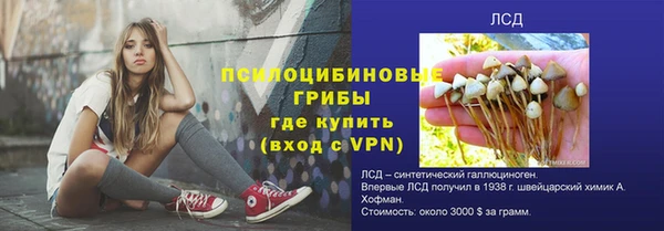 таблы Богородицк