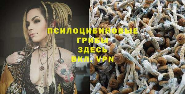 кокаин колумбия Богданович