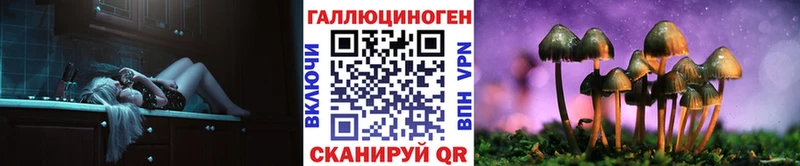 Псилоцибиновые грибы ЛСД  где купить наркоту  площадка телеграм  Светлогорск 